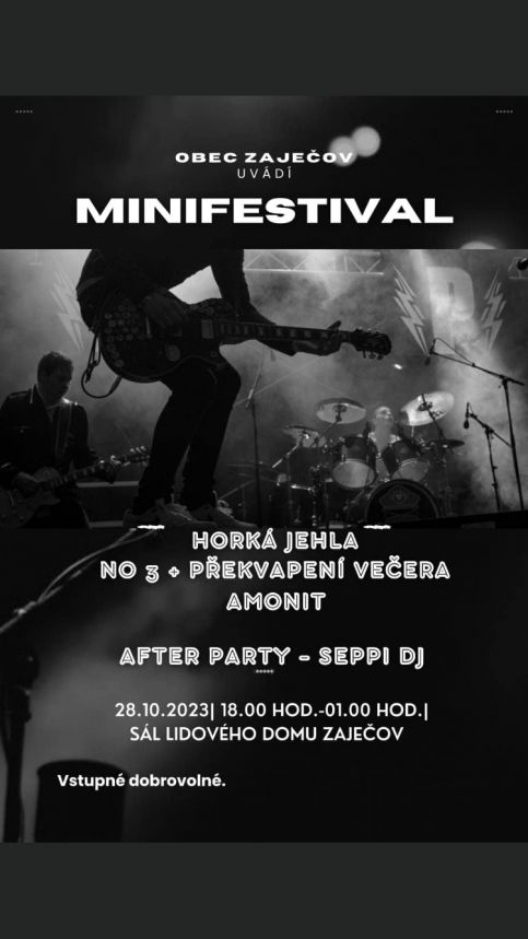 Minifestival